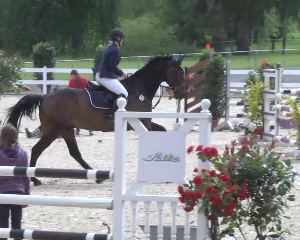 Isny-Rohrdorf 2013