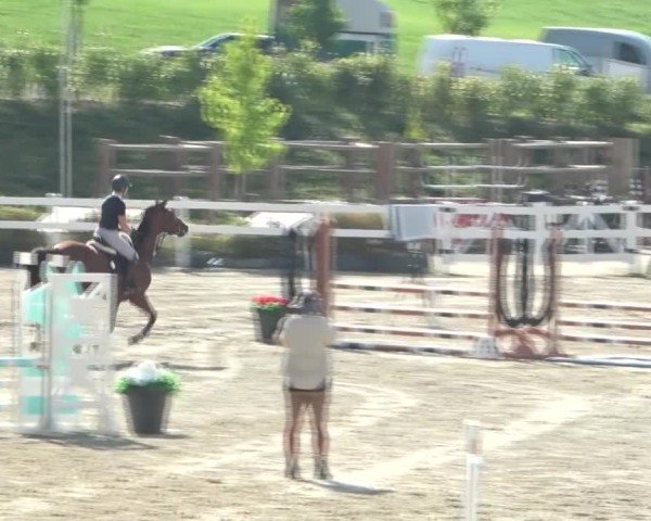 Reitturnier St. Margarethen 2024