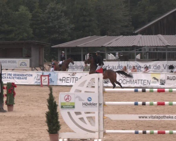 Reitturnier Ranshofen - Braunau am Inn 2024
