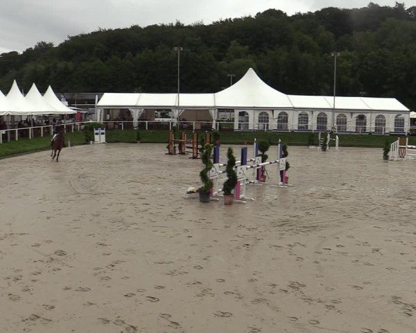 Reitturnier Bergisch Gladbach - Hebborner Hof 2024