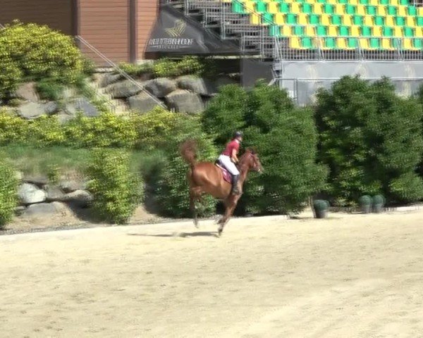 Reitturnier St. Margarethen 2024