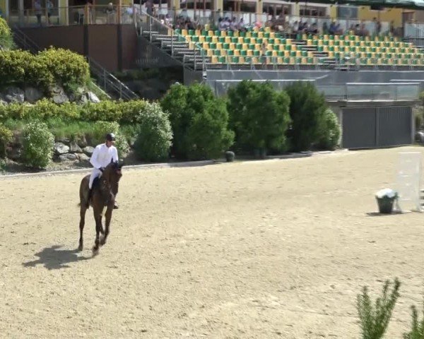 Reitturnier St. Margarethen 2024