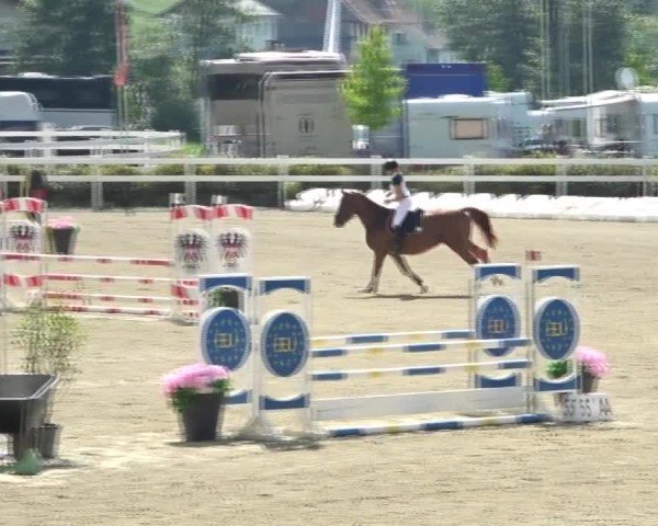 Reitturnier St. Margarethen 2024