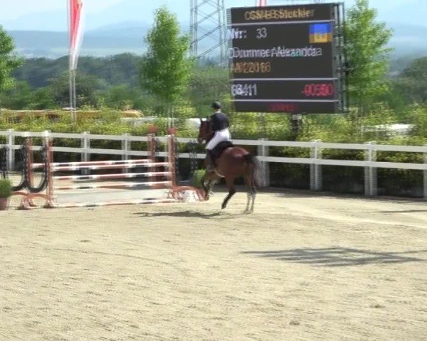 Reitturnier St. Margarethen 2024