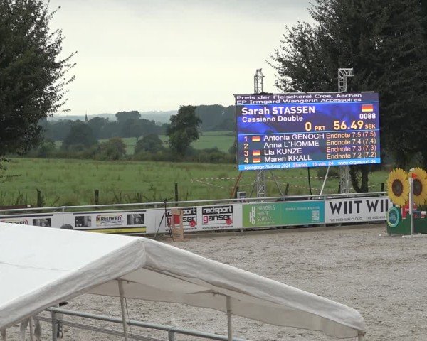Reitturnier Stolberg-Büsbach 2024