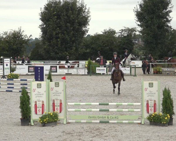 Reitturnier Stolberg-Büsbach 2024