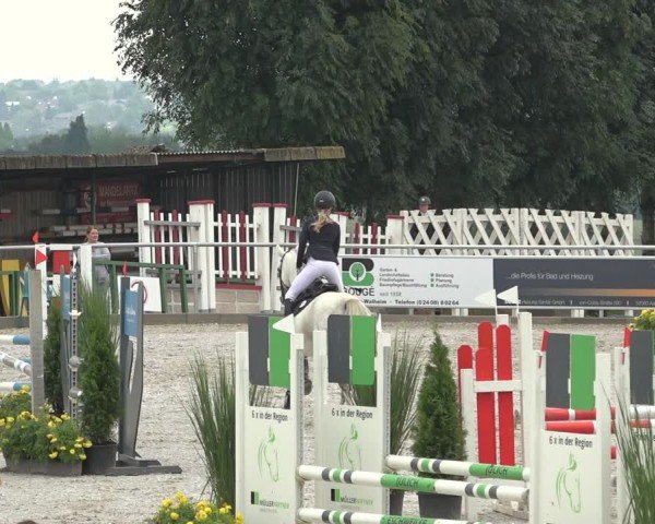 Reitturnier Stolberg-Büsbach 2024