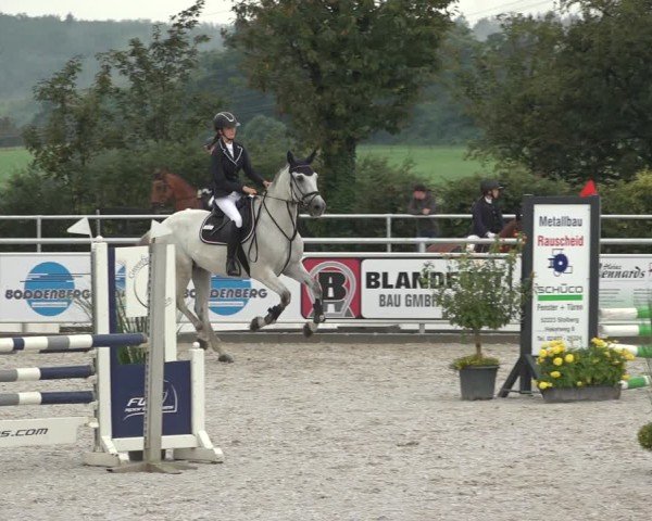 Reitturnier Stolberg-Büsbach 2024
