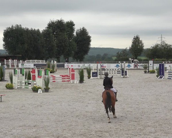 Reitturnier Stolberg-Büsbach 2024