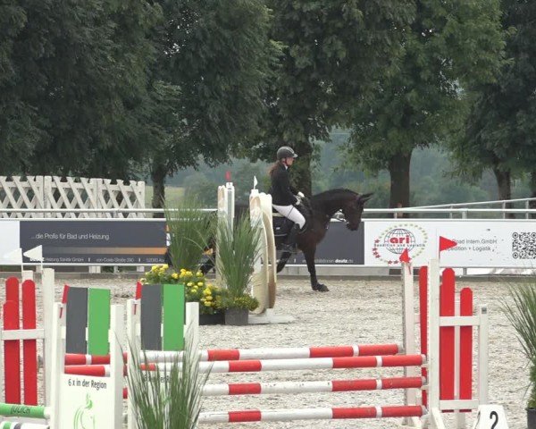 Reitturnier Stolberg-Büsbach 2024