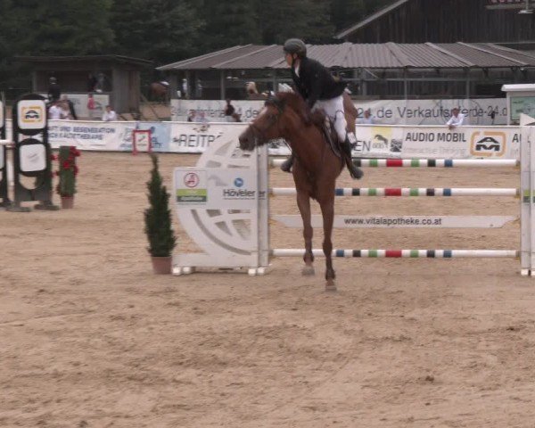 Reitturnier Ranshofen - Braunau am Inn 2024