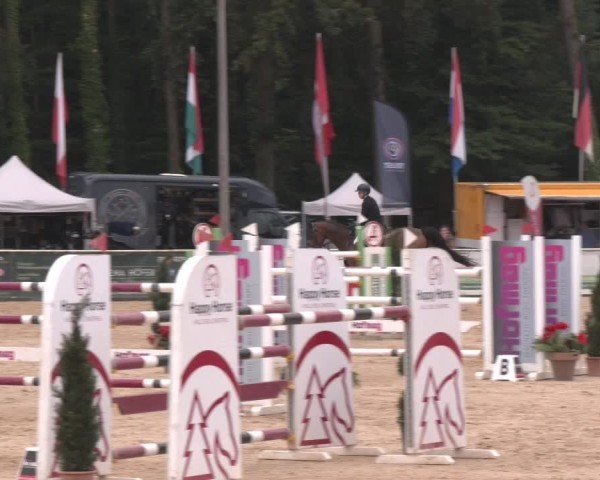 Reitturnier Ranshofen - Braunau am Inn 2024