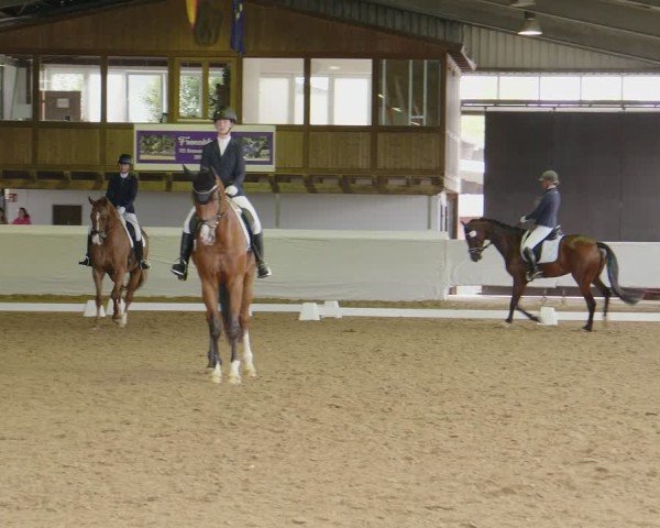 Reitturnier Münster-Albachten 2024