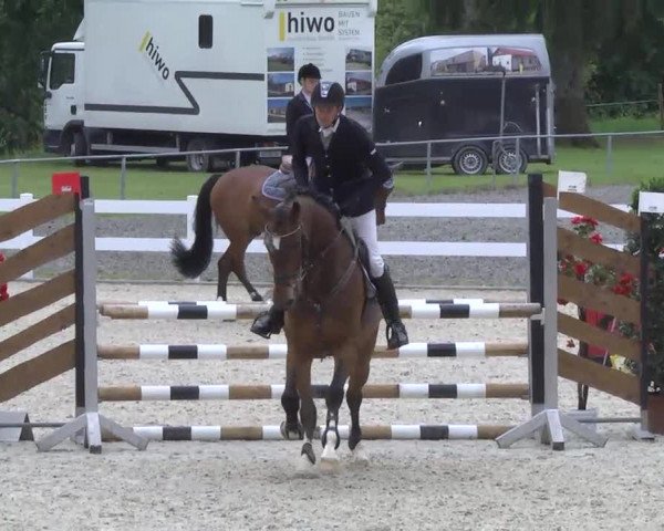 Isny-Rohrdorf 2013