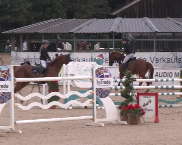 Reitturnier Ranshofen - Braunau am Inn 2024