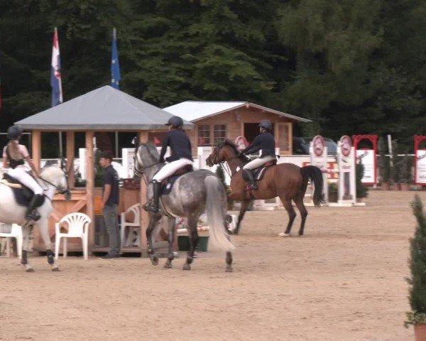 Reitturnier Ranshofen - Braunau am Inn 2024