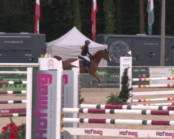 Reitturnier Ranshofen - Braunau am Inn 2024