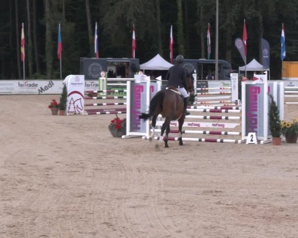 Reitturnier Ranshofen - Braunau am Inn 2024