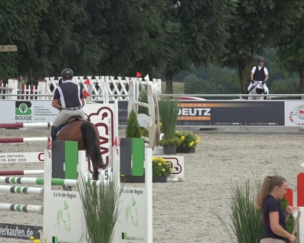 Reitturnier Stolberg-Büsbach 2024