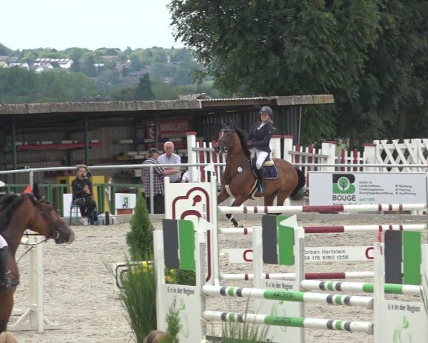Reitturnier Stolberg-Büsbach 2024