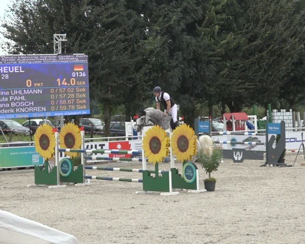 Reitturnier Stolberg-Büsbach 2024