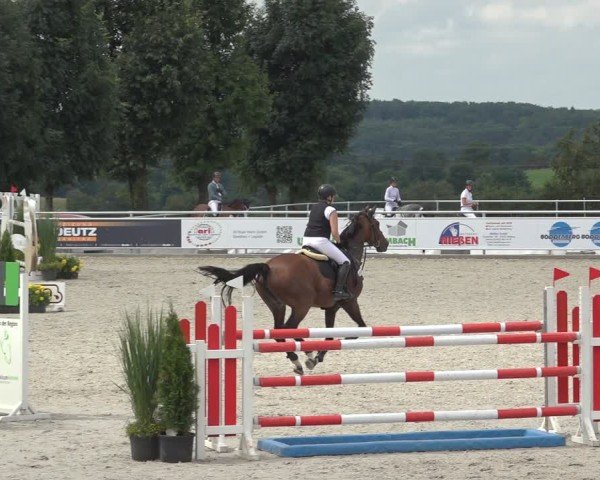 Reitturnier Stolberg-Büsbach 2024