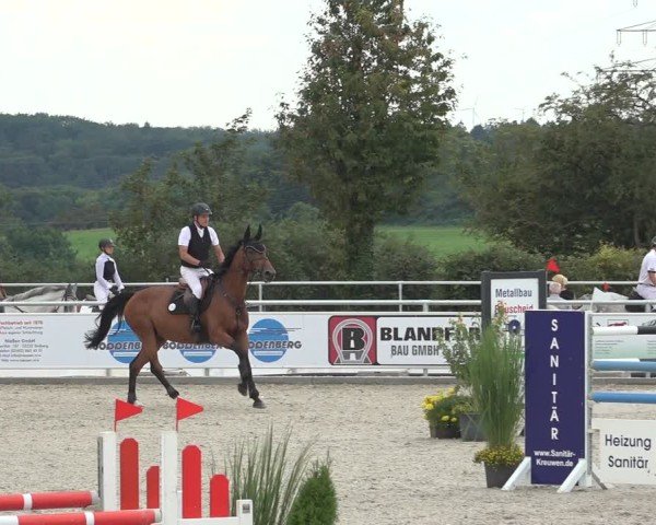 Reitturnier Stolberg-Büsbach 2024