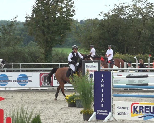Reitturnier Stolberg-Büsbach 2024