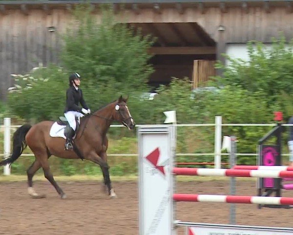 Reitturnier Demantsfürth/Mfr. 2024