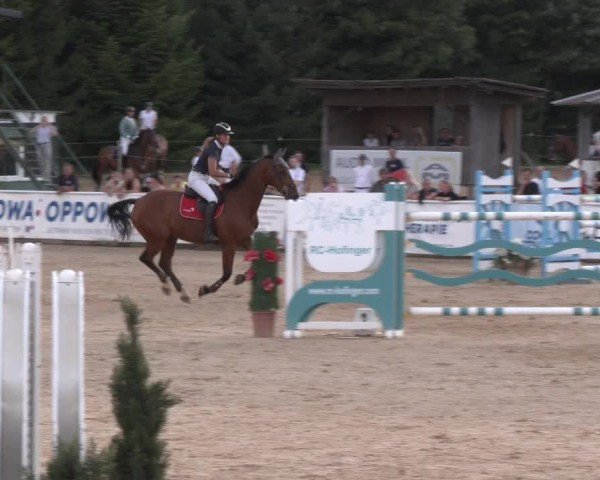 Reitturnier Ranshofen - Braunau am Inn 2024