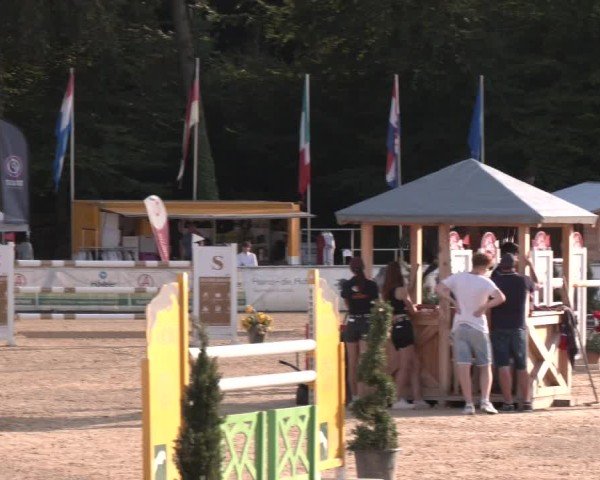 Reitturnier Ranshofen - Braunau am Inn 2024