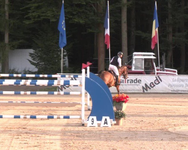 Reitturnier Ranshofen - Braunau am Inn 2024