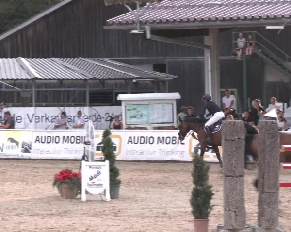 Reitturnier Ranshofen - Braunau am Inn 2024