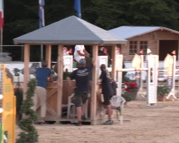 Reitturnier Ranshofen - Braunau am Inn 2024