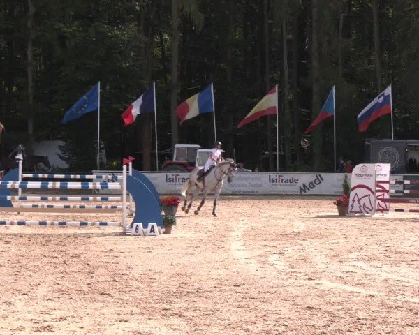 Reitturnier Ranshofen - Braunau am Inn 2024