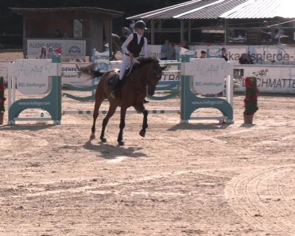Reitturnier Ranshofen - Braunau am Inn 2024