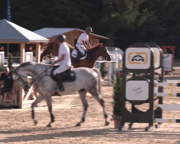 Reitturnier Ranshofen - Braunau am Inn 2024