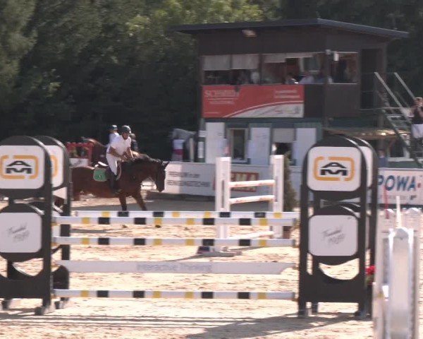 Reitturnier Ranshofen - Braunau am Inn 2024