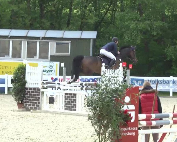 Isny-Rohrdorf 2013