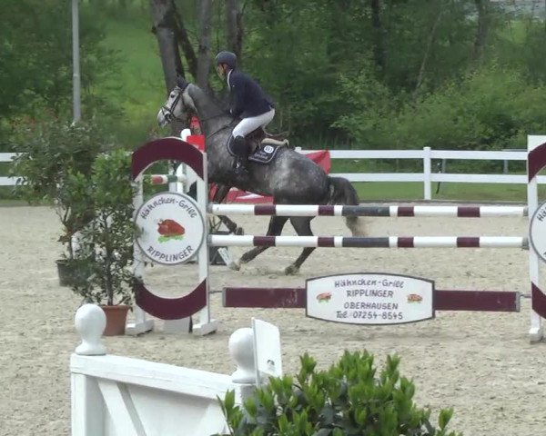 Isny-Rohrdorf 2013