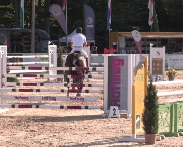Reitturnier Ranshofen - Braunau am Inn 2024