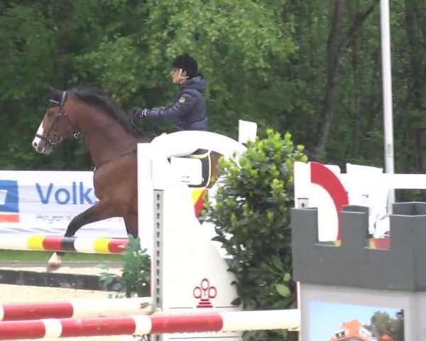 Isny-Rohrdorf 2013