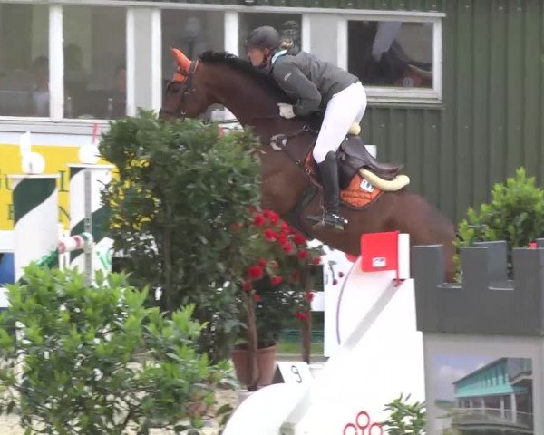 Isny-Rohrdorf 2013
