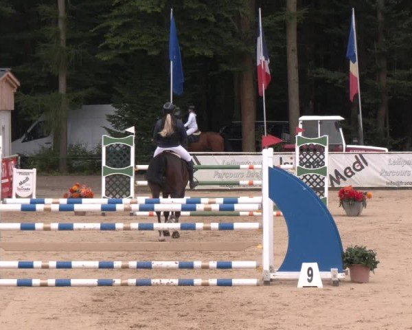 Reitturnier Ranshofen - Braunau am Inn 2024
