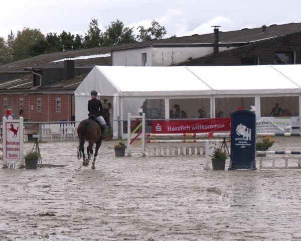 Reitturnier Datteln 2024