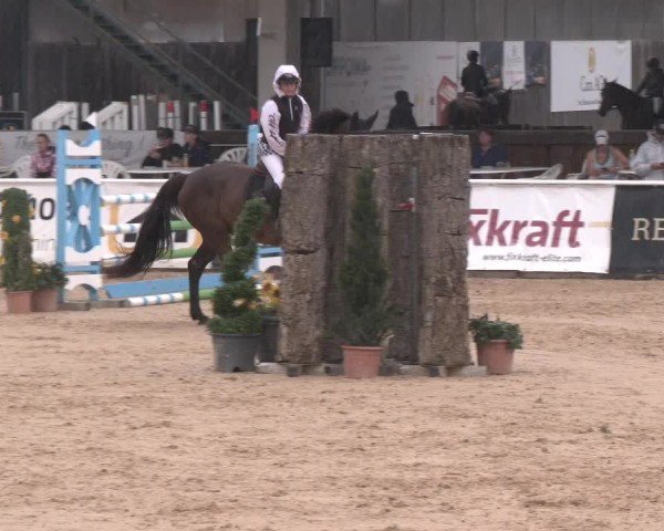 Reitturnier Ranshofen - Braunau am Inn 2024