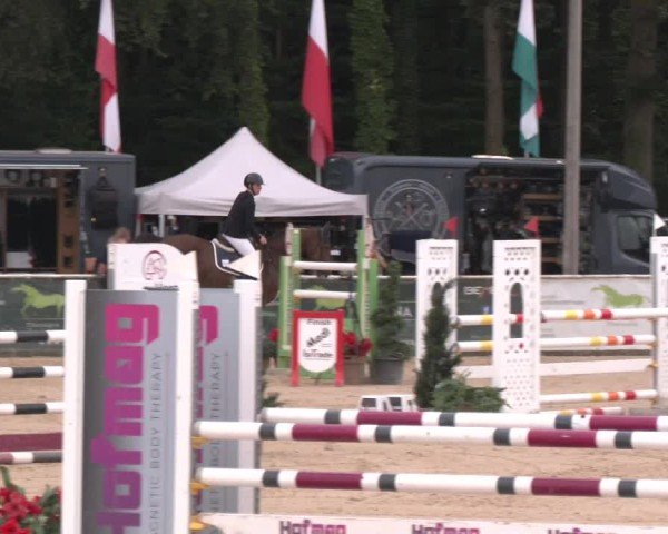 Reitturnier Ranshofen - Braunau am Inn 2024