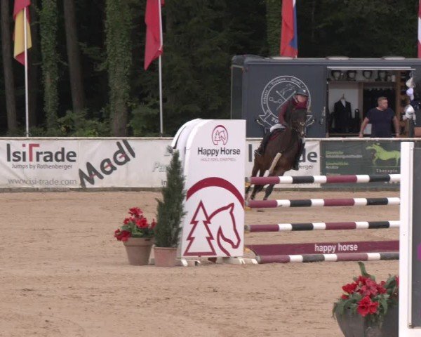 Reitturnier Ranshofen - Braunau am Inn 2024