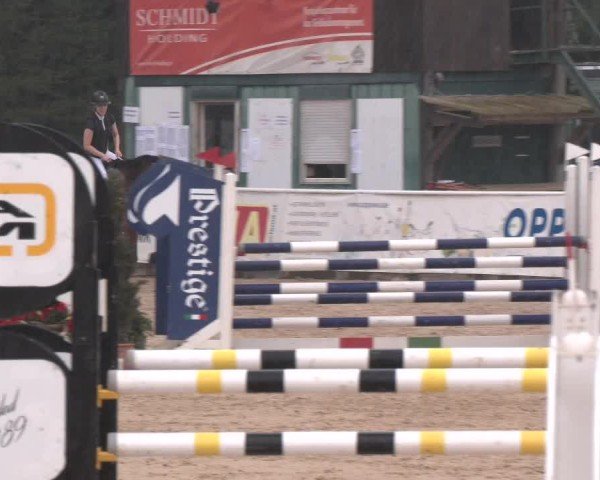 Reitturnier Ranshofen - Braunau am Inn 2024