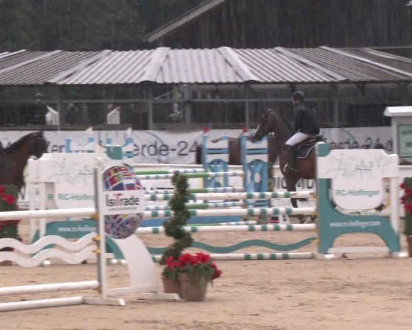Reitturnier Ranshofen - Braunau am Inn 2024